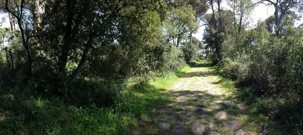 La Pineta di Castelfusano, la Via Severiana e la Villa di Plinio